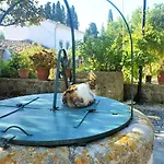 Traditional House In Corfu, Vlg Appartamento Kouramádes